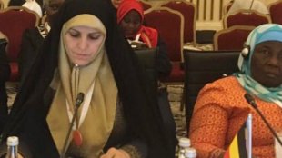 مولاوردی در نشست استانبول: جهان اسلام نیازمند اتخاذ چارچوبی برای تحقق عدالت جنسیتی