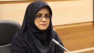 ضرورت انسجام و هم افزایی برای پیشگیری از آسیب ها در خانواده های زندانیان