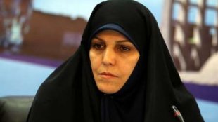 عده ای به هر اقدام دولت در حوزه زنان و خانواده، برچسب فمنیستی می زنند