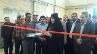 در سفر به خراسان جنوبی، افتتاح کارخانه سنگ ماهدیس استان