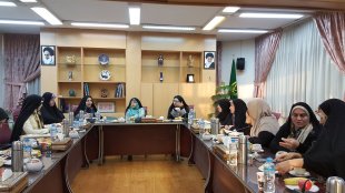 تعامل میان قوای مققنه و مجریه برای رفع چالش های حوزه زنان و خانواده ضروری است