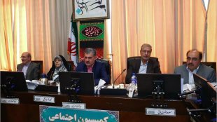 معاون رییس جمهور در امور زنان و خانواده به کمیسیون اجتماعی مجلس گزارش داد