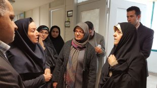 هم افزایی دولت، متخصصین و نهادهای عمومی و مردمی در مقابله با خشونت