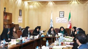 تمامی موضوعات اولویت‌دار حوزه زنان و خانواده را پیگیری می‌کنیم