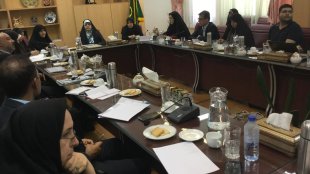 ضرورت دقت در آمارهای مربوط به حمایت از زنان سرپرست خانوار