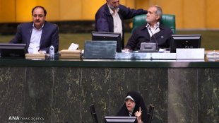معاون رییس جمهور در دفاع از لایحه حمایت از کودکان و نوجوانان در صحن علنی مجلس 