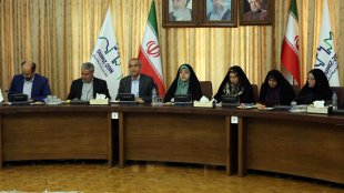 ضرورت تلاش دستگاهها برای حل مشکلات زنان