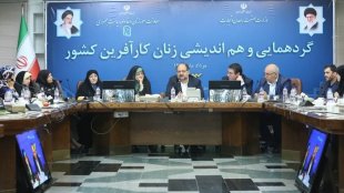 وزیر دستور رسیدگی به مشکلات کارآفرینان زن را  در صمت داد