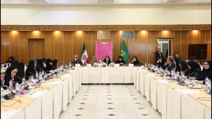 موظف شدن همه دستگاه ها برای اعلام گزارش از شرایط عدالت جنسیتی