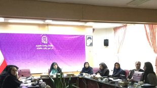 اقتصاد مقاومتی بدون مشارکت زنان قابل تحقق نیست