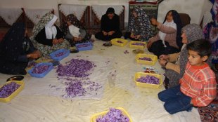 تحکیم امنیت ملی کشور در گرو توانمندسازی زنان روستایی است