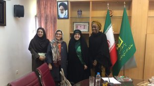 دیدار نماینده سازمان ملل در ایران با معاون رییس جمهور 