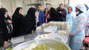 بازدید معاون رییس جمهور از طرح توانمندسازی زنان سرپرست خانوار در شیراز