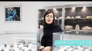 زنان کارآفرین هراسی از تحریم ندارند