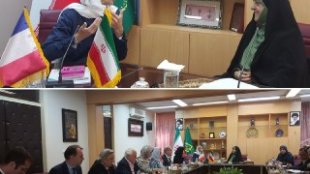 ابتکار  در دیدار با هیات پارلمانی فرانسه: ایران صبوری لازم را به خرج داده؛ از اروپا انتظار رفتار منطقی داریم