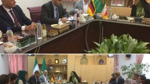 ابتکار در دیدار با هیات پارلمانی آلمان: نقش ایران در مبارزه با افراط گرایی و تروریسم در منطقه بسیار پررنگ است