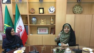 دیدار معصومه ابتکار با رییس سازمان ملی استاندارد کشور