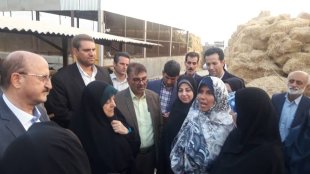 تخصیص اعتبارات خرد، گام موثر دولت در توانمندسازی زنان روستایی است