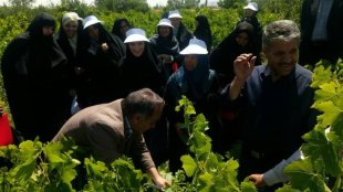 زنان روستایی در پروژه تولید محصولات سالم فعال شده اند