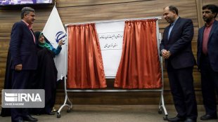 دست یابی زنان به اشتغال به معنای بیکار شدن مردان و یا از هم گسیخته شدن خانواده نیست/ گفت و گوی اعضای خانواده یک مسئولیت زنانه نیست