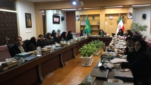 ابتکار در نشست با گروه های پژوهشی مطالعات زنان: نگاه به آینده باشد