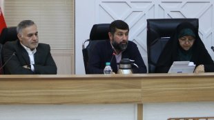 بازماندگی از تحصیل و خودکشی در خوزستان زنانه است