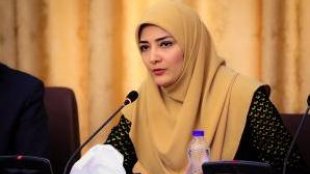 مجردین بالاترین درصد مراجعه به مراکز مشاوره ازدواج را دارند