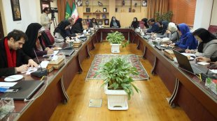 هم افزایی و بهره گیری از تجربه، راهکار توسعه کارآفرینی زنان