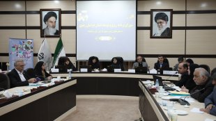 مجلس شورای اسلامی اصلاح قانون در زمینه کودک همسری را در اولویت قرار دهد