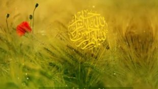 پادکست های قرآنی با رویکرد نگاه به زنان، مردان و جنسیت در اسلام