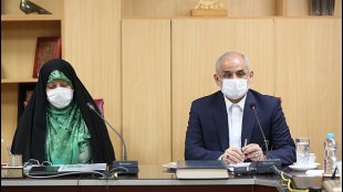 کار بزرگ، کاستن از فاصله های جنسیتی در آموزش است/ جمهوری اسلامی در این زمینه موفق عمل کرده است