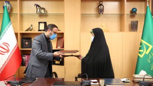 80 درصد فعالیت‌های نهضت سواد آموزی مختص زنان است