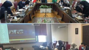 هر استان در اجرای اسناد ارتقا وضعیت زنان و خانواده با همکاری تشکل ها اهتمام ورزد
