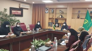 نشست مجازی تشکل های حامی زنان آسیب دیده کشور