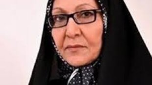 «در پیچ و خم های منع خشونت علیه زنان»