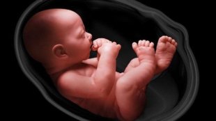 این حق هر کودک است که از زندگی داخل رحم کامل برخوردار شود