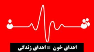  زنان ایرانی در حوزه مشارکت اجتماعی و سلامت پیشتاز هستند
