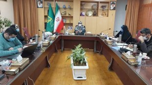 برگزاری سومین نشست مجازی تشکل‌های حامی زنان آسیب‌دیده کشور 