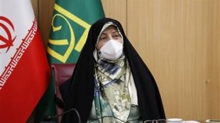 برخورد لازم در سطح بین الملل با عوامل مقصر در قاچاق زنان نمی شود/ ضرورت اطلاع رسانی در مورد فضای مجازی
