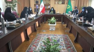 هم پیمانی بین دستگاه ها برای زنان، اقدامی محوری و اصولی بوده است