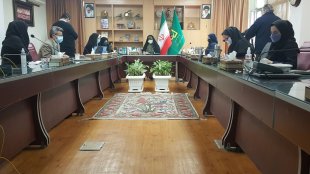 رونمایی از پورتال های اقدامات توانمندسازی  زنان سرپرست خانوار در جلسه بند ت