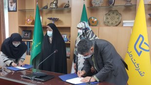 ورود زنان به تولید داروهای گیاهی/سهم 80 درصدی زنان از تولید صنایع دستی
