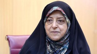 20درصد زنان سرپرست خانوار از هیچ حمایت بیمه ای برخوردار نیستند/دو بسته دولت برای زنان