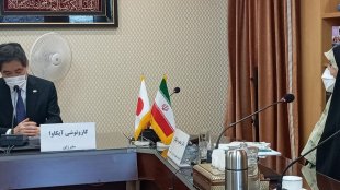 دولت روحانی همواره پیگیر مسائل مرتبط با حوزه زنان بوده/ دیدار معاون رییس جمهور با سفیر ژاپن