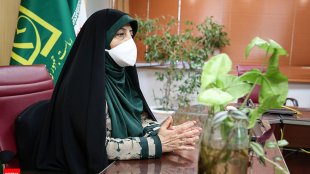امیدواریم رویداد کمند آغاز افقی نوین در دانشگاه‌ها باشد