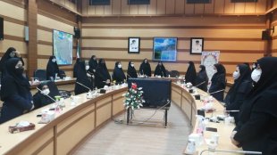 دیدار معاونت امور زنان و خانواده ریاست جمهوری با نخبگان استان کهگیلویه و بویراحمد