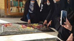 معاون رئیس جمهور در امور زنان و خانواده در ششمین سفر استانی رئیس جمهور  وارد بوشهر شد.