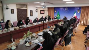  تاکید بر معرفی الگوی سوم از زن مسلمان