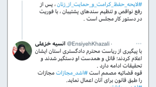 خزعلی: لایحه حفظ کرامت و حمایت از زنان با فوریت در دستور کار مجلس است