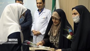 برنامه ریزی نظام واره شغلی زنان در برنامه هفتم توسعه پیش بینی شده است